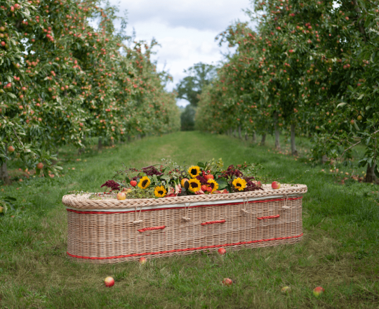Somerset-Willow-Coffins-Orchard-2